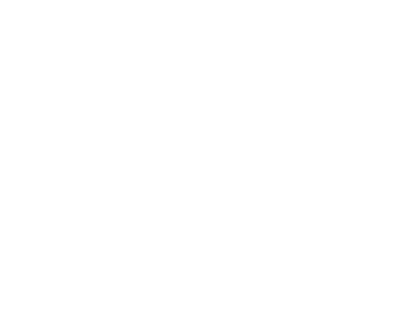 Image Zone Logo